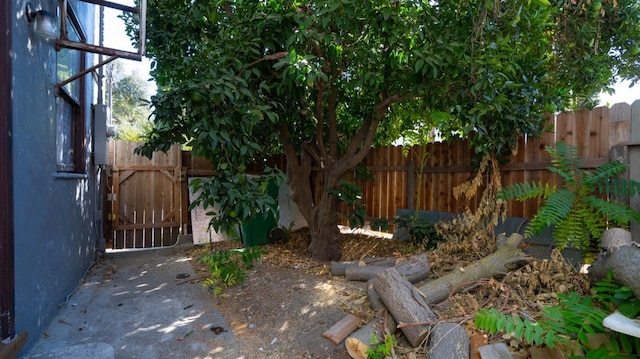 14090 Winnie St, Walnut Grove, CA 95690 - view of yard with a gate
