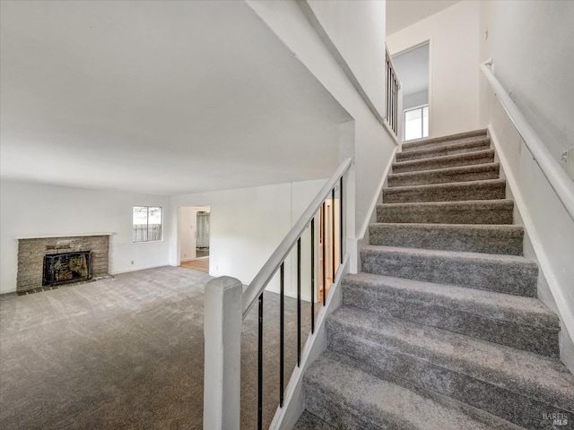 staircase featuring carpet floors