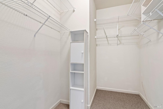 walk in closet featuring carpet flooring