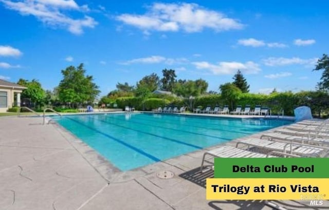 view of swimming pool with a patio area