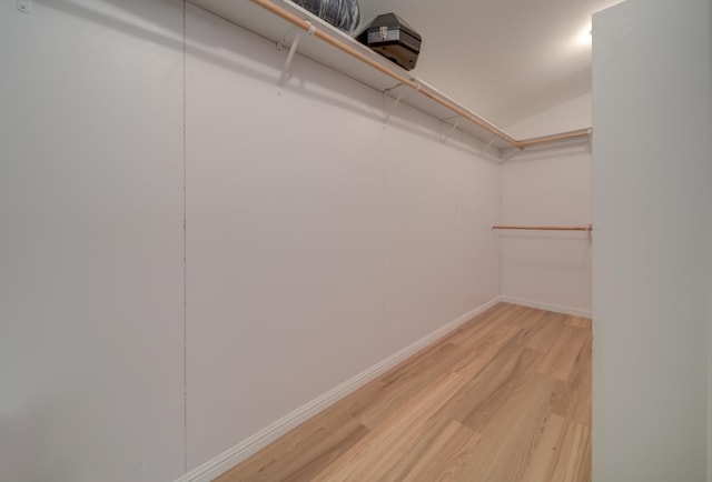 walk in closet featuring light hardwood / wood-style floors