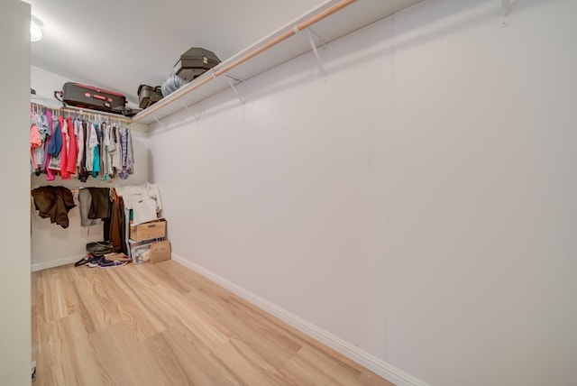 spacious closet featuring hardwood / wood-style floors