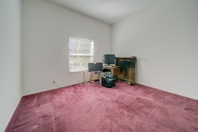 miscellaneous room with carpet flooring