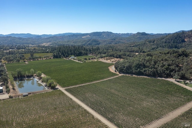 aerial view featuring a water and mountain view and a rural view