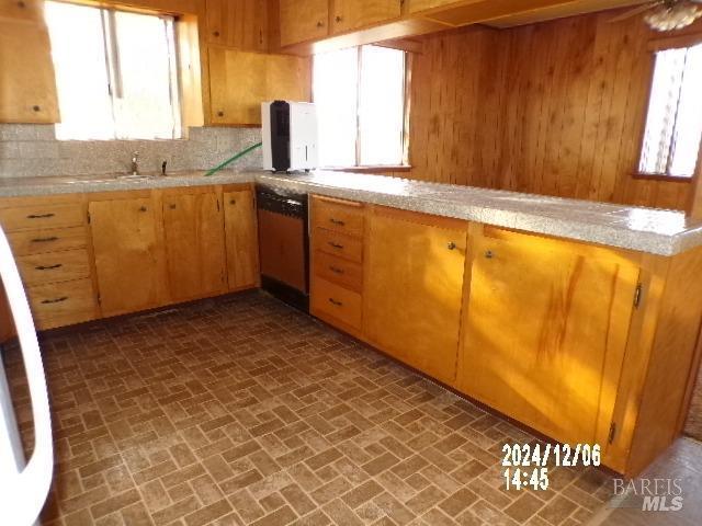 kitchen with decorative backsplash, stainless steel dishwasher, and a healthy amount of sunlight