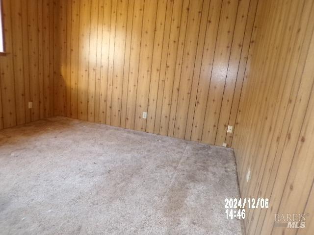 carpeted empty room featuring wood walls