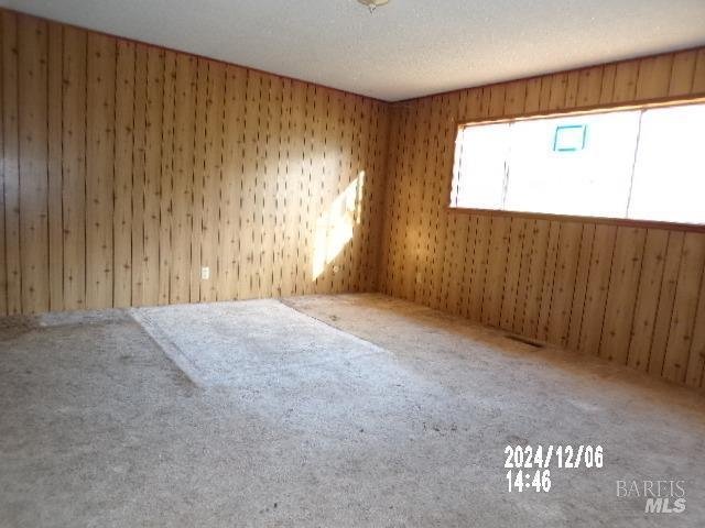 unfurnished room with wood walls, carpet floors, and a textured ceiling