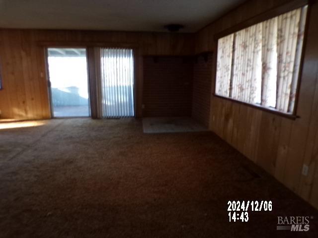 spare room with wooden walls and carpet floors