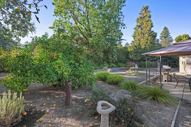 view of yard with a patio area