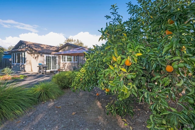 view of yard with a patio area