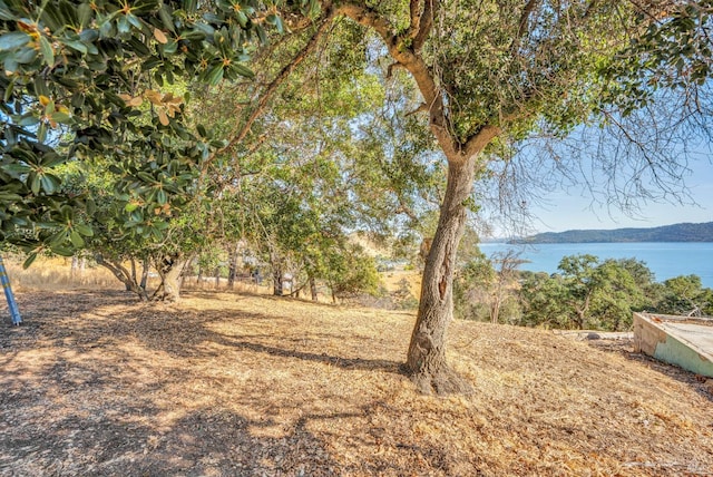 view of yard with a water and mountain view