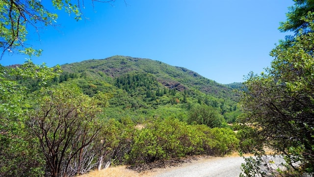 Listing photo 3 for 3011 County Road 110, Hopland CA 95449