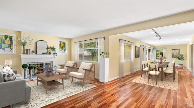 living room featuring track lighting, light hardwood / wood-style flooring, and a fireplace