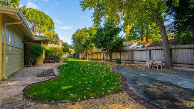 view of yard featuring a patio