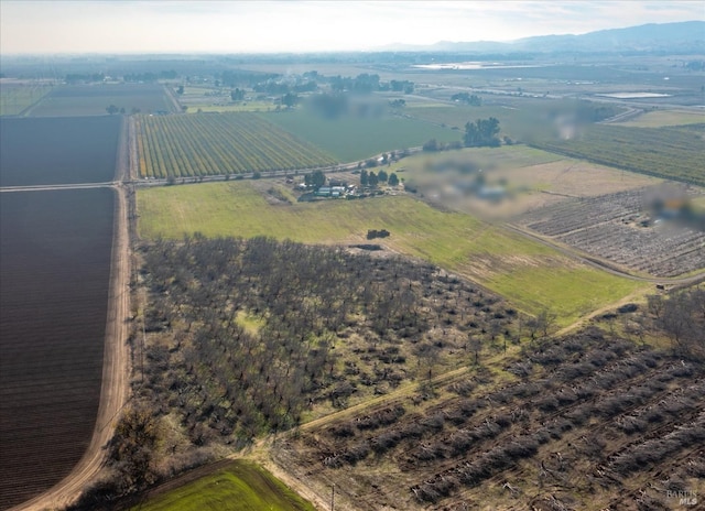 8690 Diablo View Ln, Winters, CA 95694 - aerial view of property's location featuring rural landscape and farmland