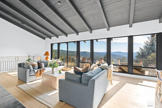 living room featuring light hardwood / wood-style floors, a mountain view, and beam ceiling