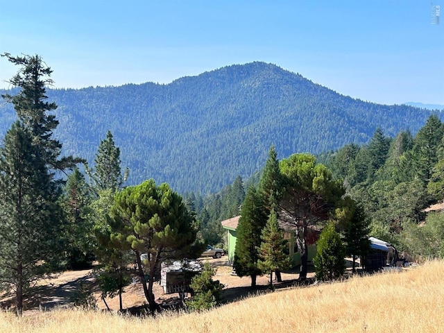 view of mountain feature featuring a rural view