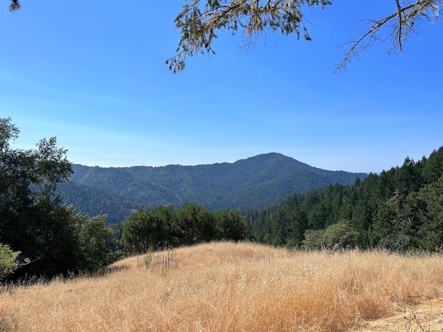 property view of mountains