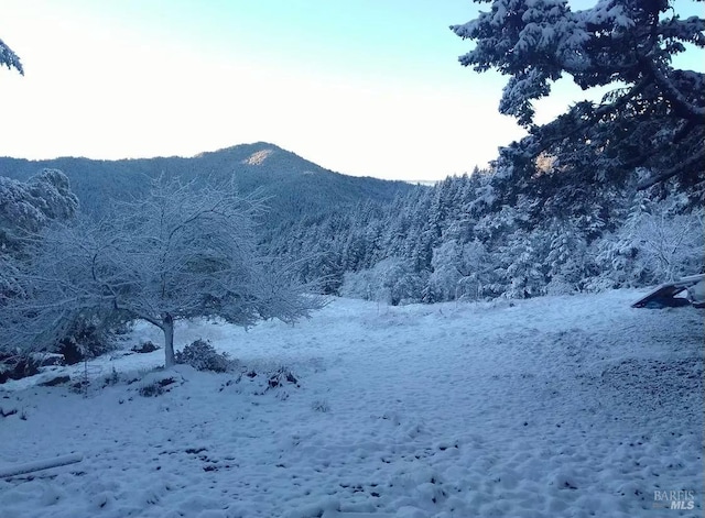 view of mountain feature