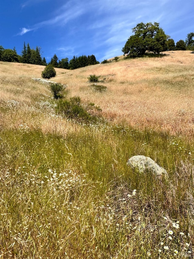 view of landscape with a rural view