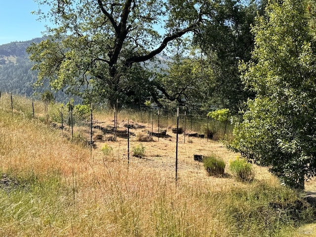 view of local wilderness featuring a rural view