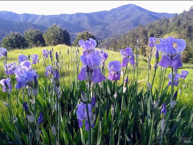 property view of mountains