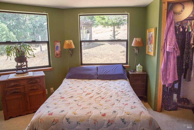 carpeted bedroom with multiple windows