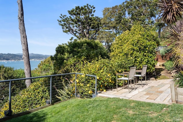 view of yard featuring a water view and a patio