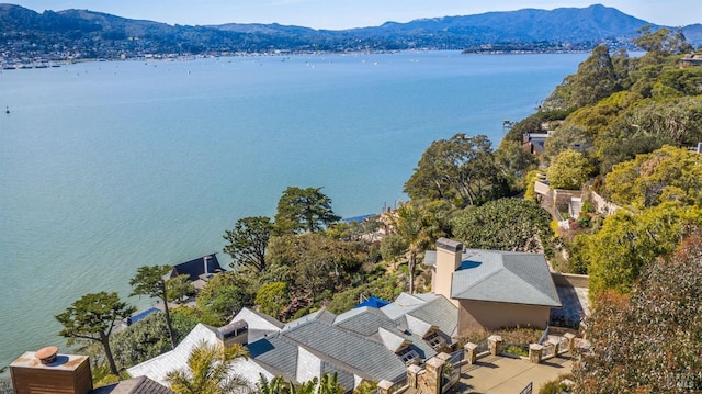 drone / aerial view featuring a water and mountain view