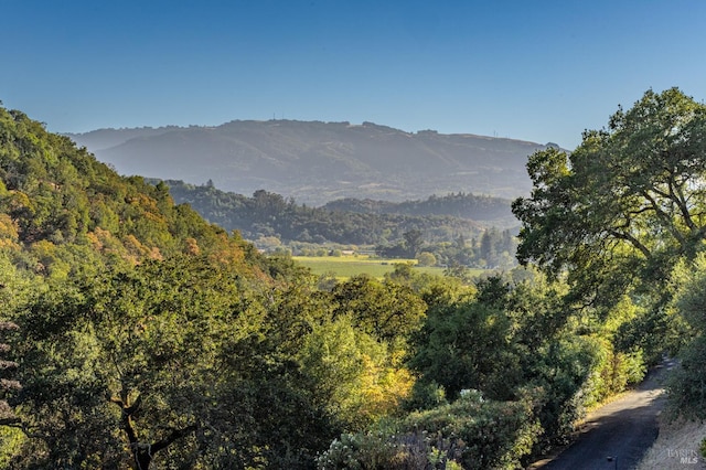 property view of mountains