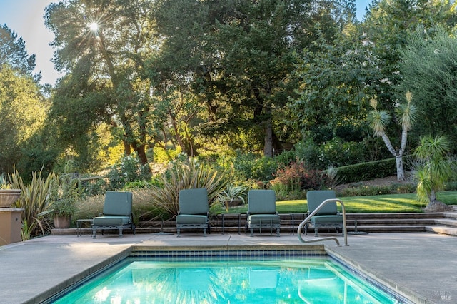 view of pool featuring a patio