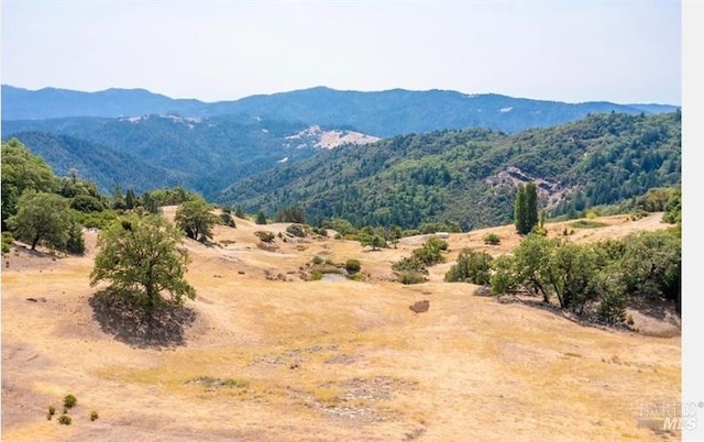 view of mountain feature