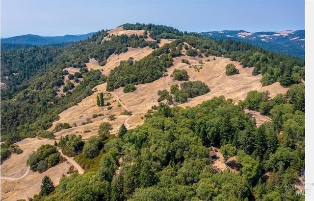 drone / aerial view with a mountain view