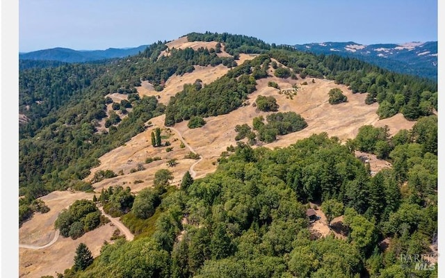 aerial view featuring a mountain view