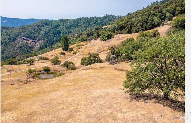 drone / aerial view with a mountain view