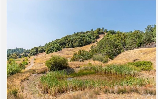 view of local wilderness featuring a rural view