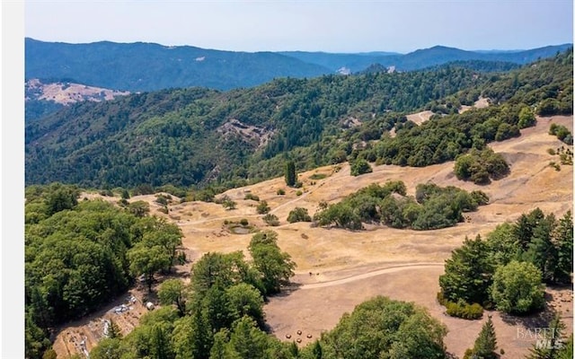 drone / aerial view featuring a mountain view