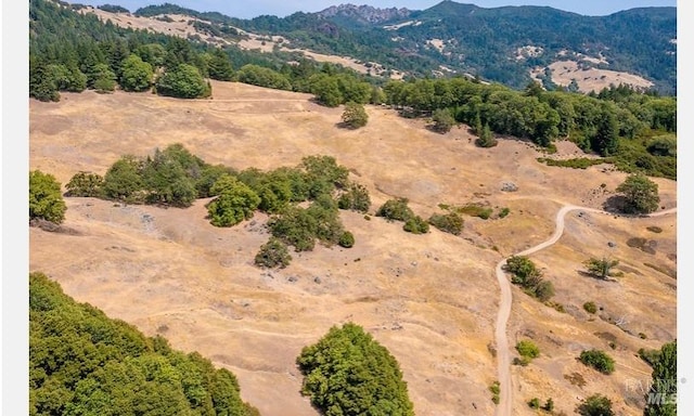 aerial view with a mountain view