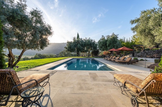 view of pool with a patio and a mountain view