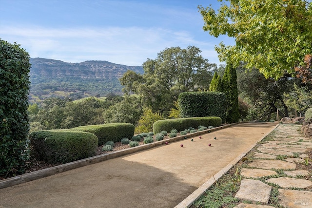 view of property's community with a mountain view