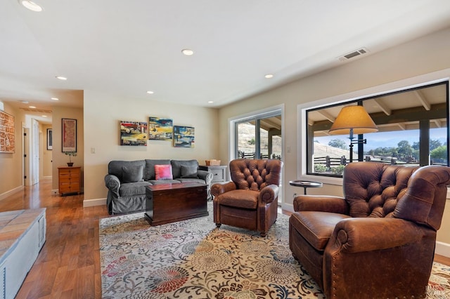 living room with wood-type flooring