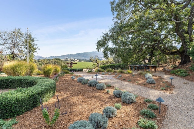 view of yard featuring a mountain view