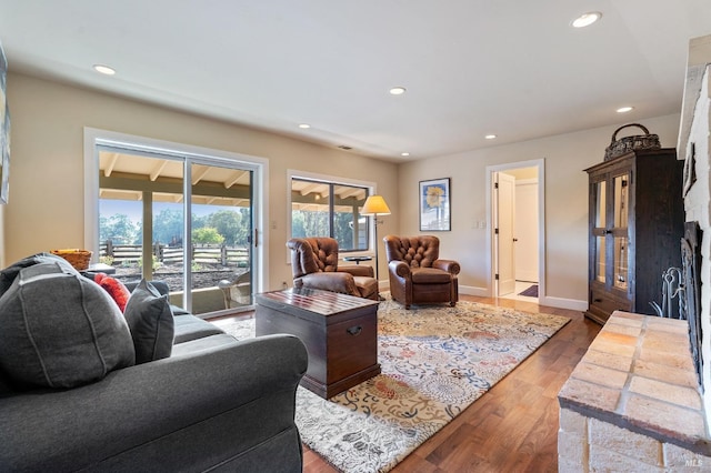 living room featuring hardwood / wood-style floors