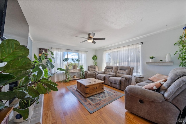 living room featuring crown molding, hardwood / wood-style floors, ceiling fan, and a textured ceiling