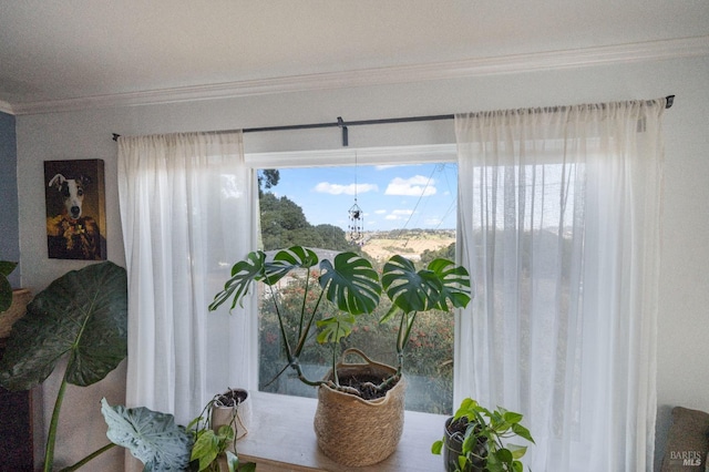 interior space with crown molding