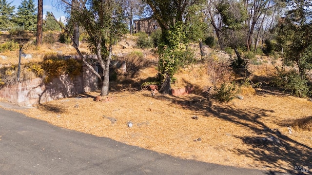 Listing photo 2 for 16010 Dam Rd, Clearlake CA 95422