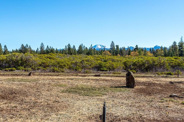 view of local wilderness featuring a mountain view and a rural view