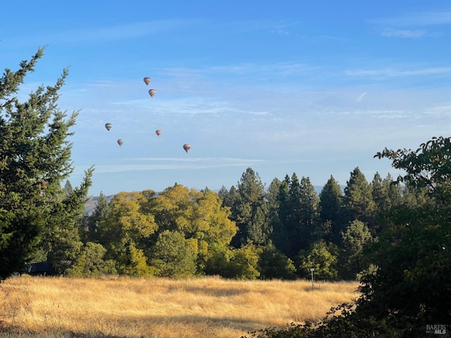 view of nature with a view of trees