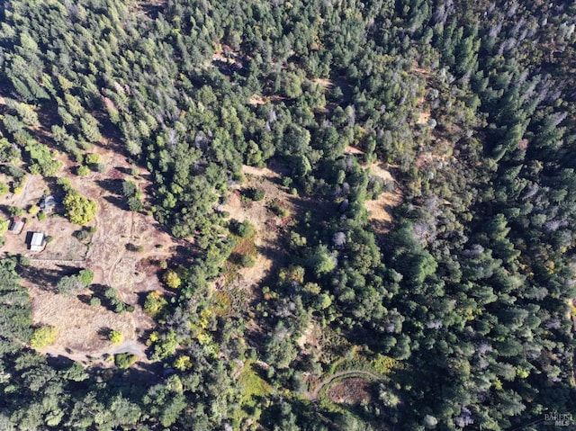 aerial view featuring a wooded view