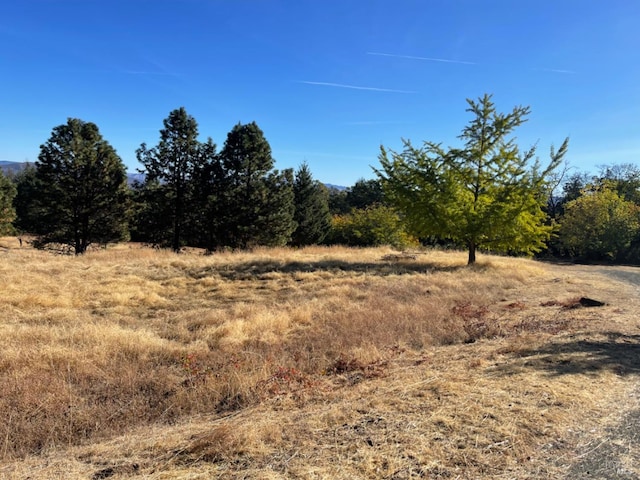 view of landscape featuring a rural view